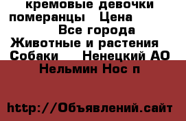 кремовые девочки померанцы › Цена ­ 30 000 - Все города Животные и растения » Собаки   . Ненецкий АО,Нельмин Нос п.